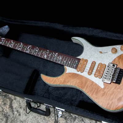 GB Liuteria Boutique Ergal 6 string jem edition image 2