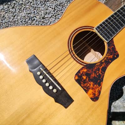 Gorgeous Guild CV-2 Maple and Spruce Guitar CV-2 Maple and Spruce 2007 image 9