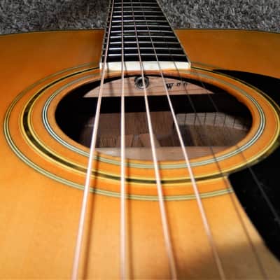 TOP OF THE LINE - CANYON W70 1977 - MAJESTIC MARTIN D41 STYLE - ACOUSTIC GUITAR image 4