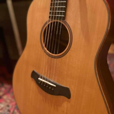 Taylor Builder's Edition 717e with V-Class Bracing 2019 - 2021 - Natural image 5