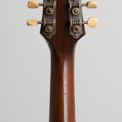Vivi-Tone Hollow Body Electric Mandolin (1933), ser. #301, original black chipboard case. image 6
