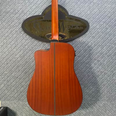 Fesley FDET280C 12 String SkunkWerx Stage Ready IN USA SETUP String Joy 2025 - Natural image 17