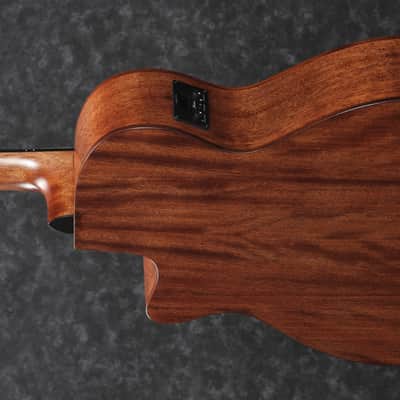 Ibanez AEG200 LGS - Natural Low Gloss image 4