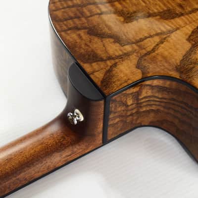 Guild Westerly Collection OM-260CE Deluxe Burl - Edge Burst image 10