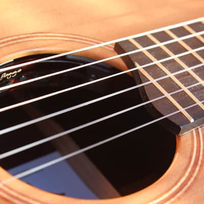 Lowden S25j 2020 - Nylon image 11
