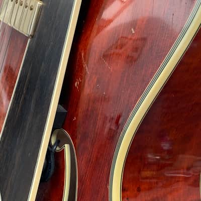 Eastman AR810CE – 2010 image 10