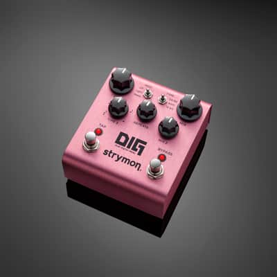 Strymon Dig imagen 4