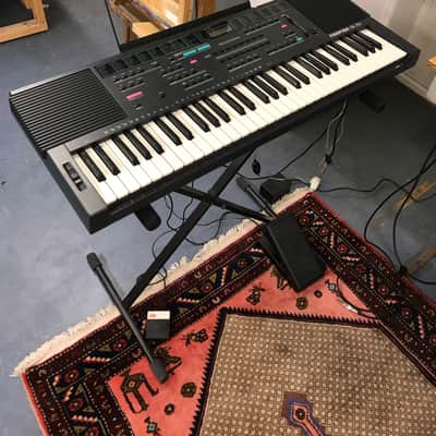 Farfisa DK 250 image 1