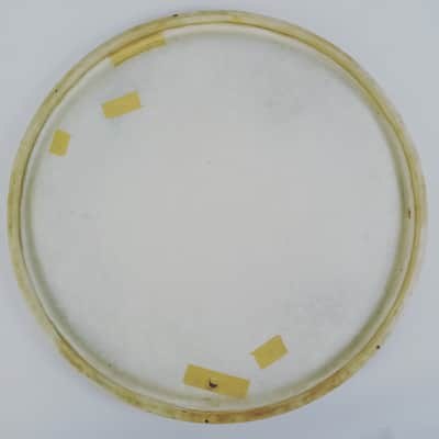 Gretsch/Rogers? 16" Floor Tom Drum Head Calf Skin Batter Vintage 40s-50s USA image 3