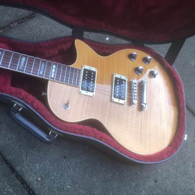 Guild Bluesbird image 5