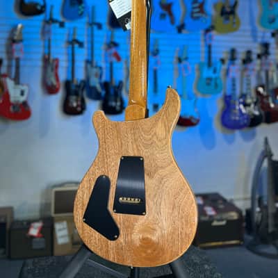 PRS 2025 Wood Library Special 22 Semi Hollow, Custom - Quilt, Aquableaux, Paisley Case, Signature Dealer / 555 image 17