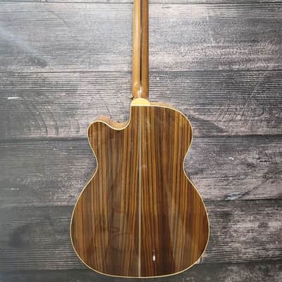 Zager ZAD9000MCE Acoustic Electric Guitar (San Antonio, TX) image 2
