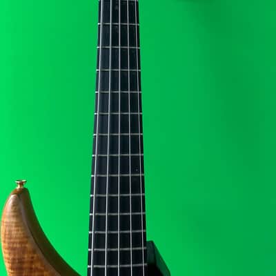 Alembic 5-string Bass Natural image 4