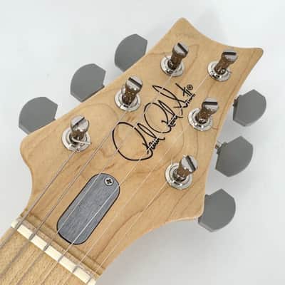 2021 PRS Ltd Edition Silver Sky John Mayer Signature - Lunar Ice image 6