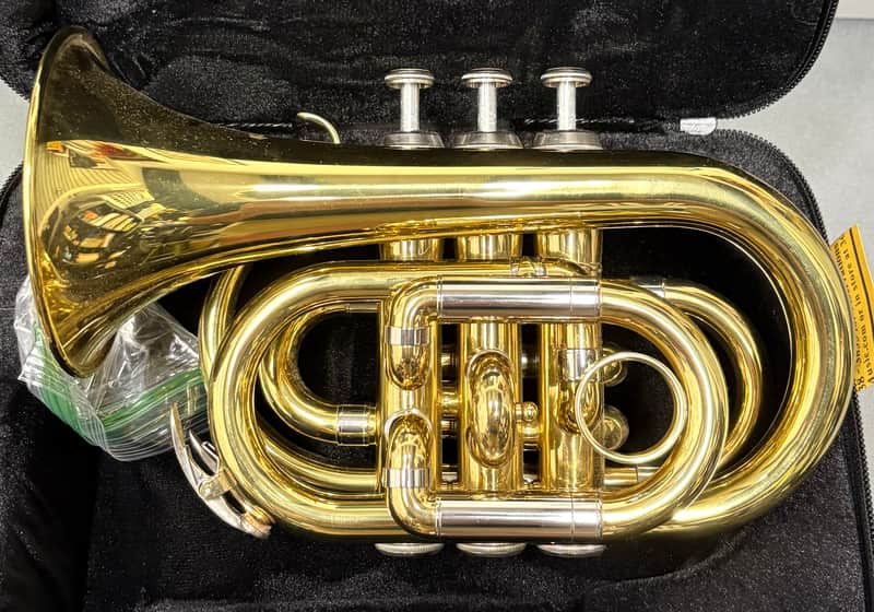 New Oxford Pocket Trumpet image 1