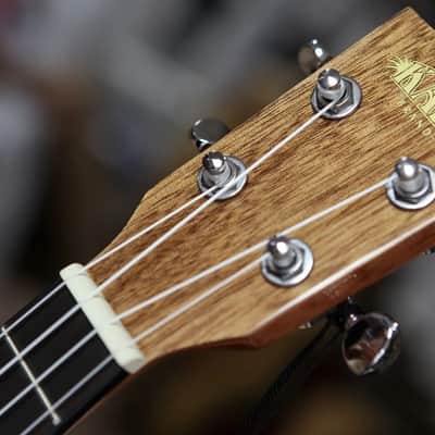 Kala KA-CG Gloss Mahogany Concert Ukulele image 4