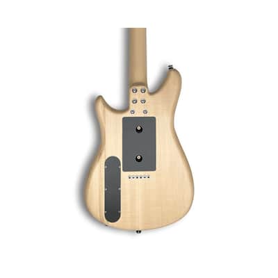 Relish Guitars Roadster Flamed Pear Top Pickup Swapping - Natural image 3