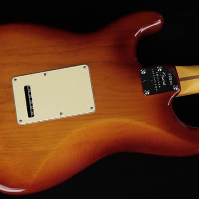 Fender American Professional II Stratocaster - MN SSB (#902) image 15