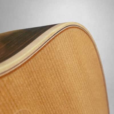 Lowden F-32C 2021 Rosewood and Spruce K&K Pickup + OHSC image 5