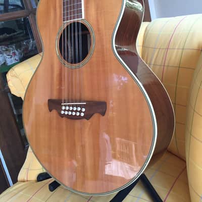 Alvarez 2551 12 String Limited Edition Silver Anniversary Model Gibson L-1 L-00 l-2 look-alike 5037 image 8