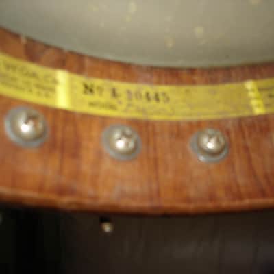 VEGA Banjo FW5 1961 Sunburns Rare image 4