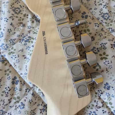 Fender American Pro Stratocaster MN Natural image 10