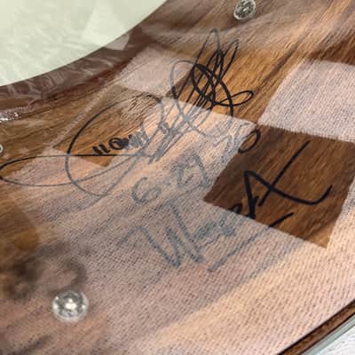 Dunnett Classic Stereoply 8 lug Acacia 7x14" Snare Drum image 7