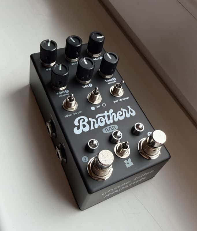 Chase Bliss Audio Brothers AM