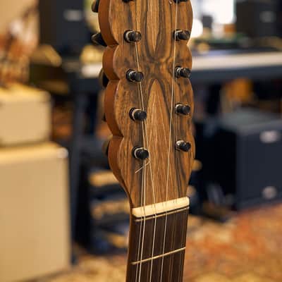 Artimúsica Traditional Luthier 10 String "Viola de Arame" Madeira image 18