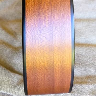 Don Cortez Santana Model 46 AE/Sapele Acoustic Electric Nylon String Cutaway Guitar wGB image 10
