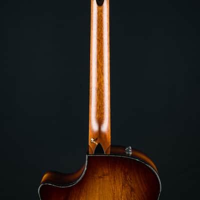 Taylor PS14ce Presentation Series Honduran Rosewood and Adirondack Spruce with Pickup Used (2025) image 22