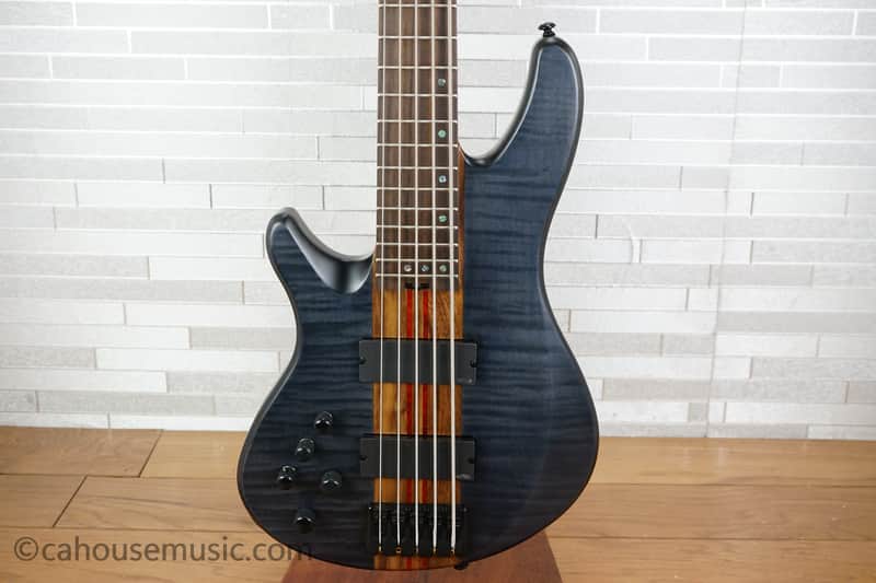 Schecter CB-5 Charles Berthoud Signature Bass Left Handed - See-thru Black Satin image 1