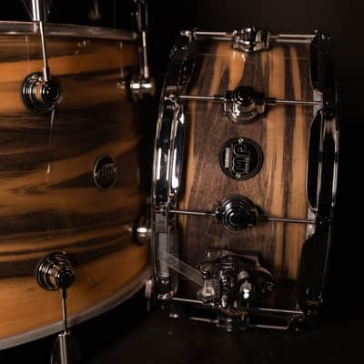 DW Performance Series 2024 - Black Poplar image 4
