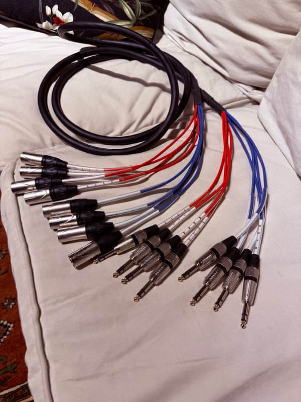 Seismic Audio Trs-xlrm male 10’ snake image 1