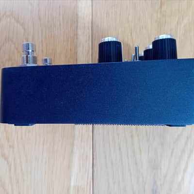 Universal Audio Starlight Echo Station 2021 - no tap tempo image 5
