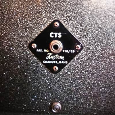 Kustom K200 B1 1969 - Grey Flake image 5