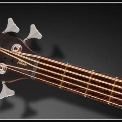Warwick ALIEN 5 Natural Satin Acoustic Electric Bass, LEFT-HANDED, Fretted, Brand New, Free Shipping image 5