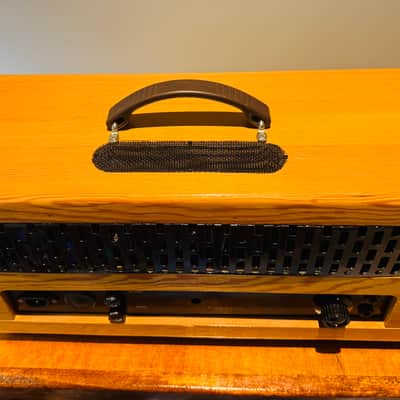 Carrion Slave Amplifier 120 image 5