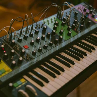 Moog Matriarch Patchable 4-note Paraphonic Analogue Synthesiser image 8