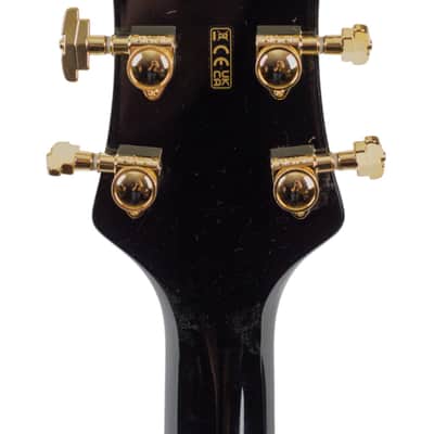 New Gretsch G6134TG Limited Edition Paisley Penguin Gold Paisley w/Bigsby String-Thru Vibrato Tailpiece #JT25010196 image 6