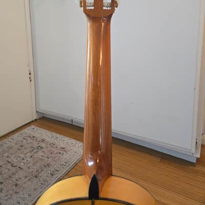 Shelton Farretta Concert Guitar 1974 - Flamenco - Cedar top, Cypress back and sides, Ebony Fretboard image 8