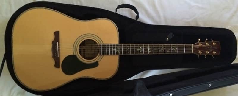 ALVAREZ-PD-100S-ACOUSTIC-TREE-of-LIFE-GUITAR-W-CASE-Exce image 1