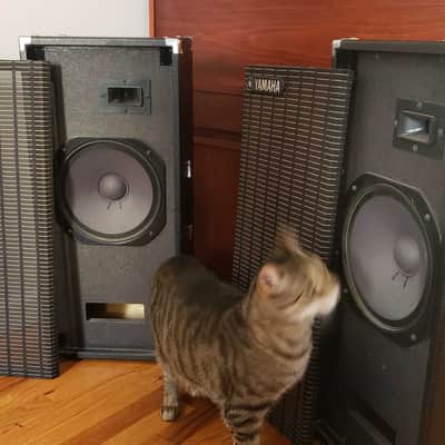 Pair Of Vintage Yamaha S0110T 1977 Black PA Speakers image 2