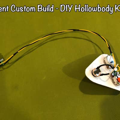 MADE TO ORDER - Custom Harness for ANY Guitar or Bass - Prewired to YOUR Specs! - Wainwright Customs image 24