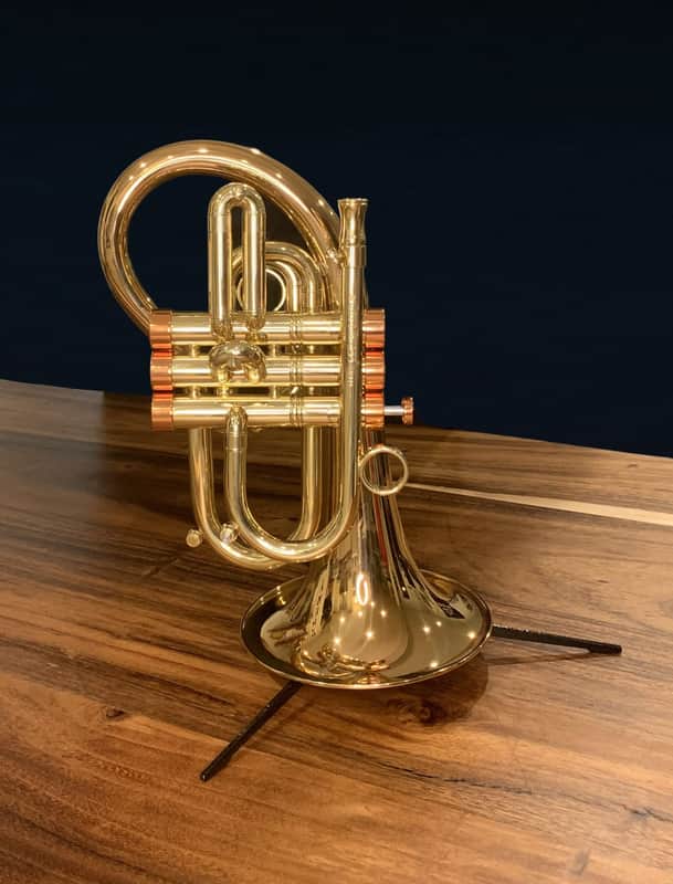 CarolBrass Phat Puppy Pocket Flugelhorn - Brand New image 1