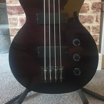 Epiphone Les Paul Special Bass 2006 - 2015 image 3