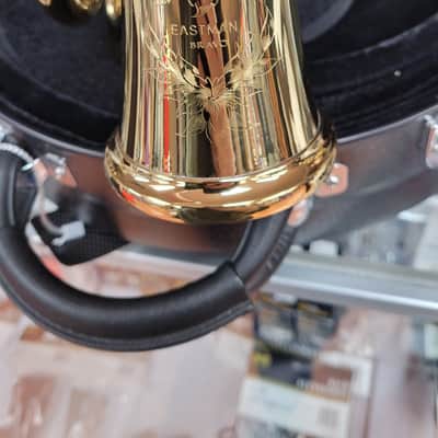 Eastman Bravo French Horn w/ Detachable Bell image 4