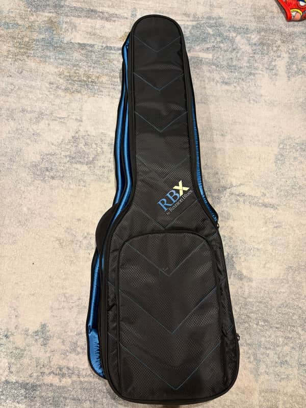 Reunion Blues RBX Double Electric Bass Gig Bag 2010s - Black image 1