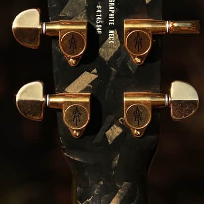 Alvarez Yairi Dy98 Modulus Graphite neck image 5