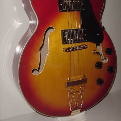 Glen Burton GE775-CBS Hollow Body Chicago Maple Neck 6-String Electric Guitar w/Gig Bag, Strap & Picks image 3